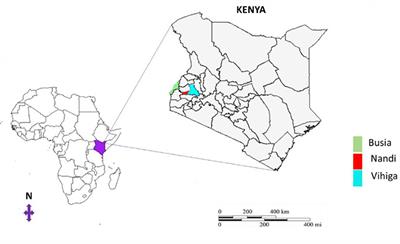 Organic Nutrient Source Allocation and Use in Smallholder Farming Communities: What Are We Missing?